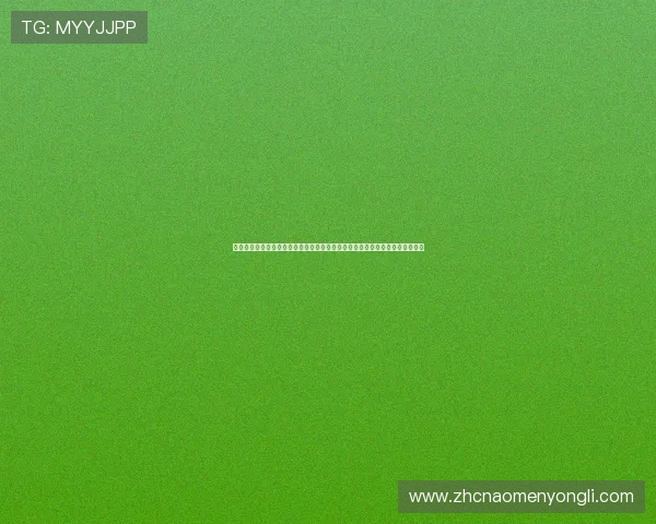 永利皇宫旗舰厅下载官网最新版本更新，及时获取游戏优化内容与活动优惠信息