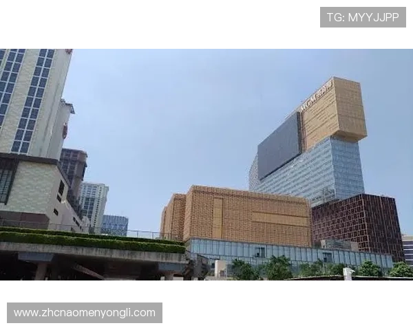 美狮美高梅赌场安全保障措施详解让玩家安心享受每一次游戏时光